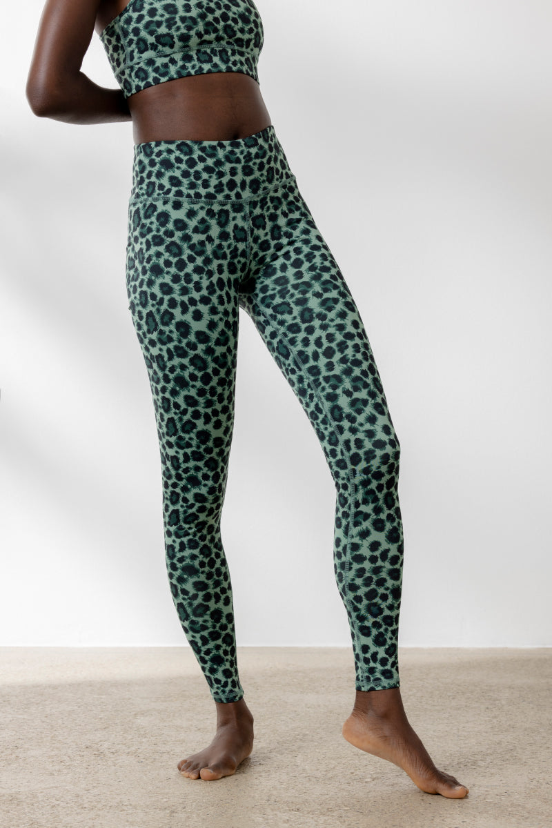 Legging Leo Jade